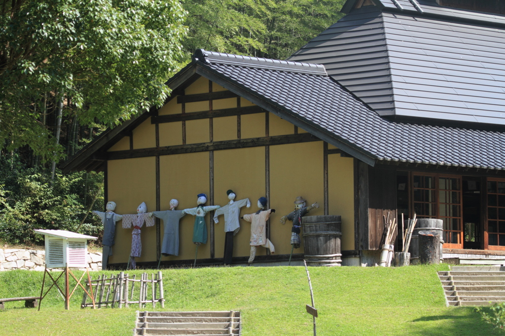 また来年頑張ってね