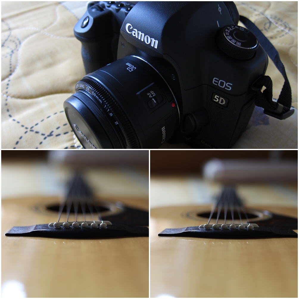 5DII+EF50mm F1.8 II