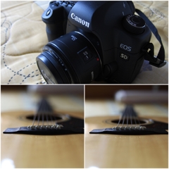 5DII+EF50mm F1.8 II