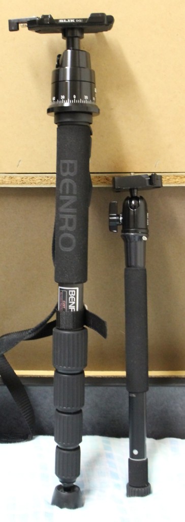 New　item