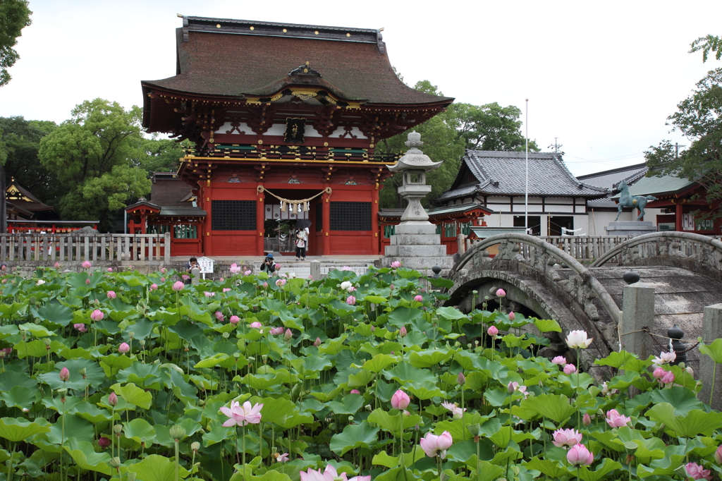 伊賀八幡宮