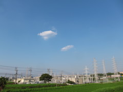 今日も３５℃超え～