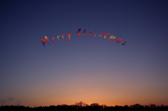 クリスマスの朝 