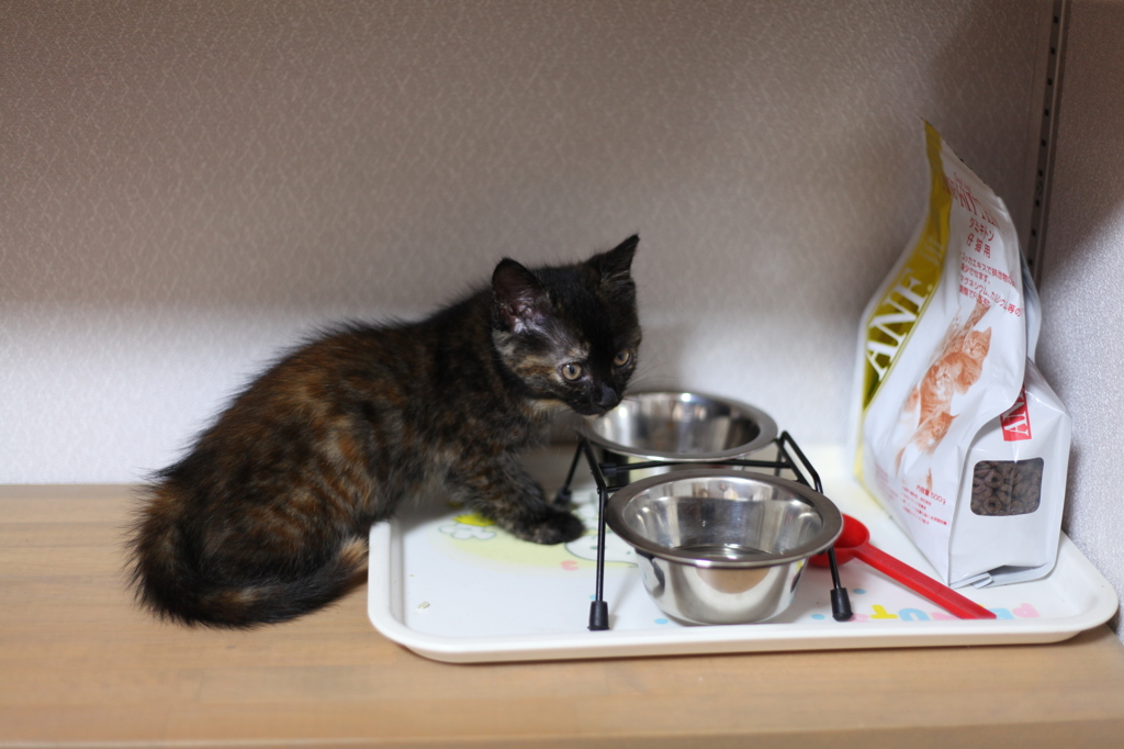 食堂は２Fです