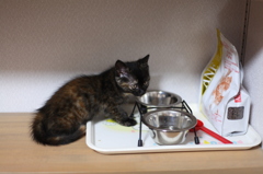 食堂は２Fです