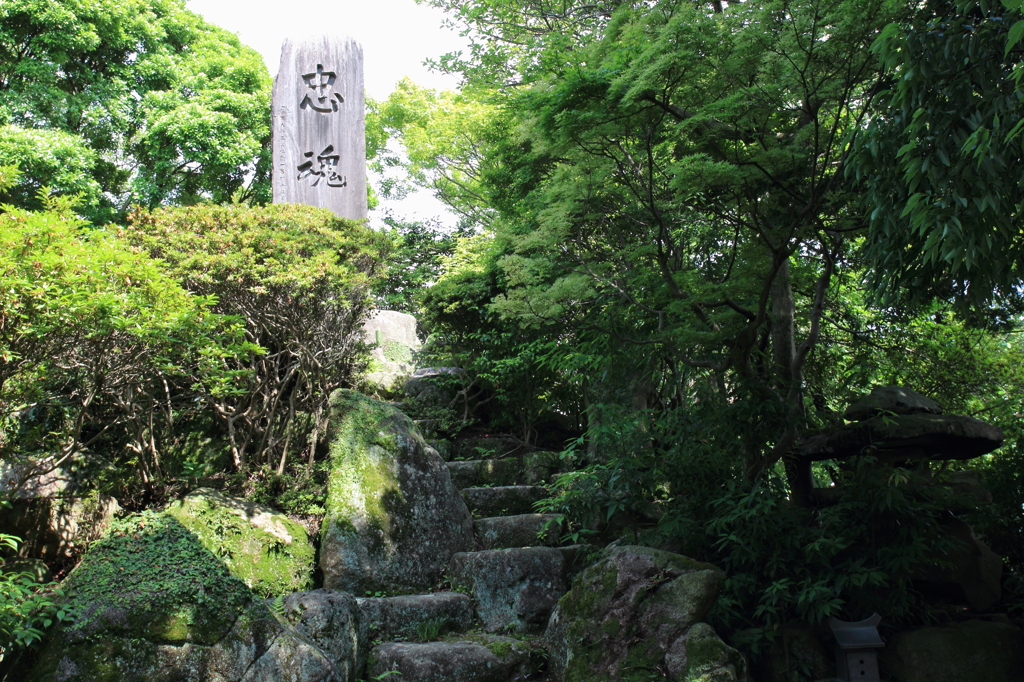 大樹寺・碑