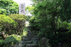 大樹寺・碑