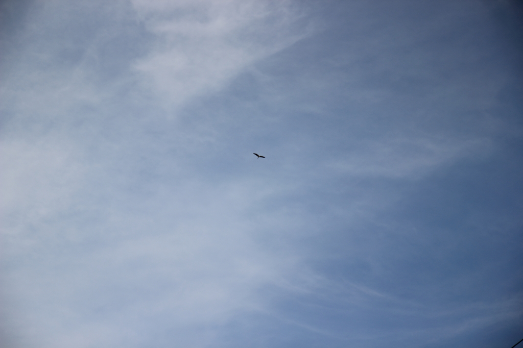 青空