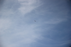 青空