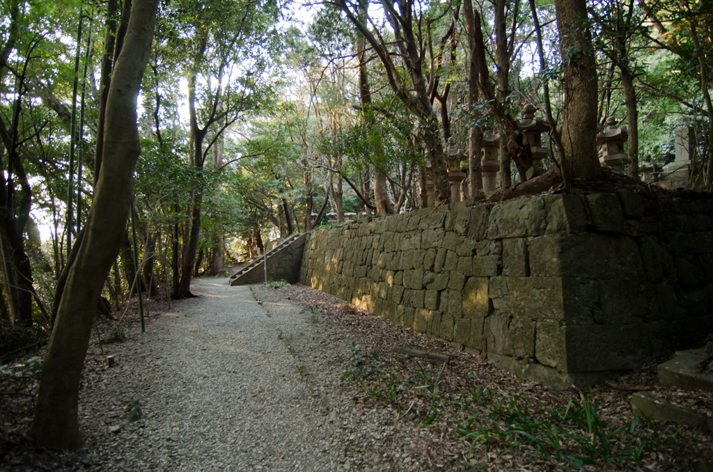 廟所参道の木漏れ日