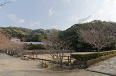 芝生　長保寺