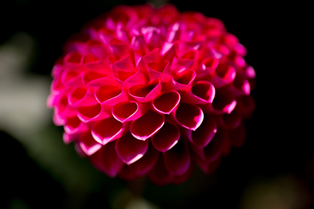 浮かびあがる紅
