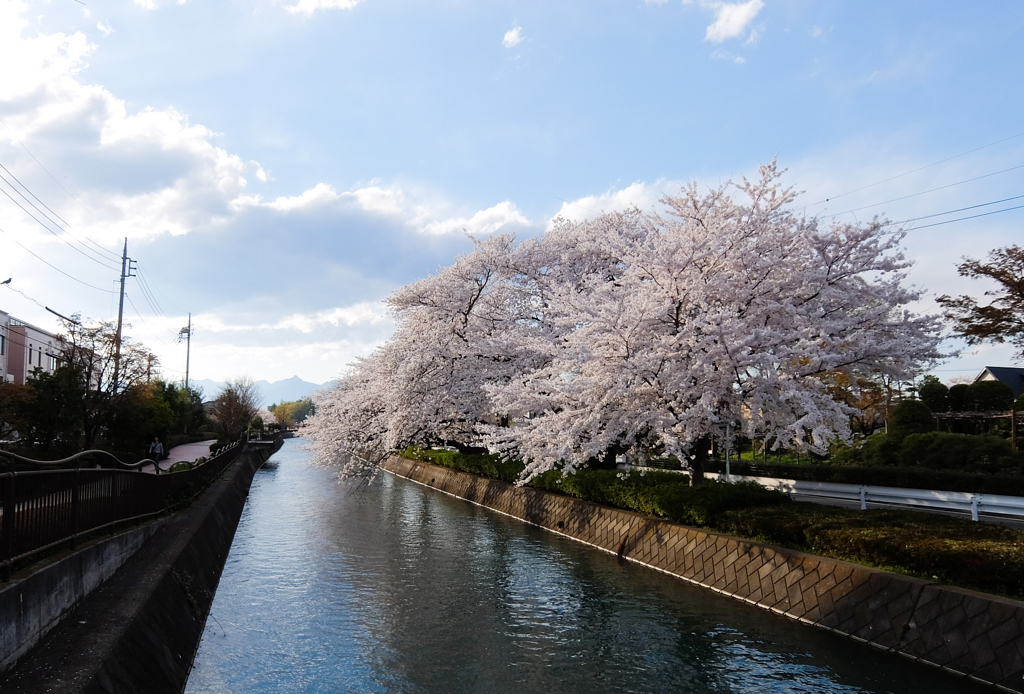 広瀬川