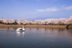 気持ちの良い春の日