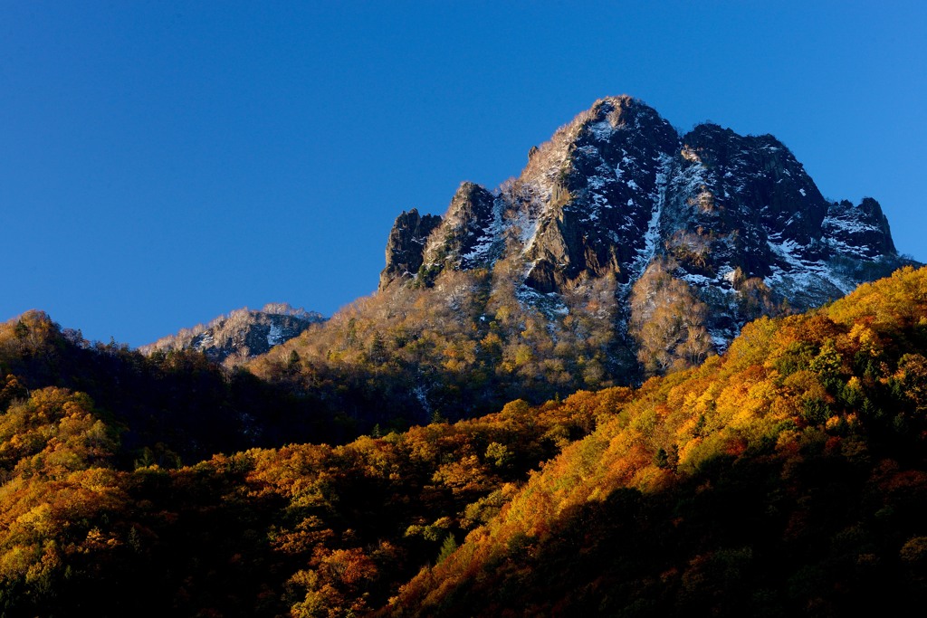 雪紅葉