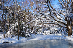 いつもの風景