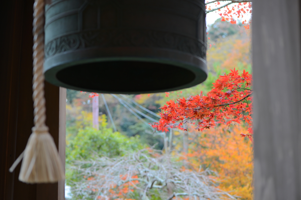 海蔵寺