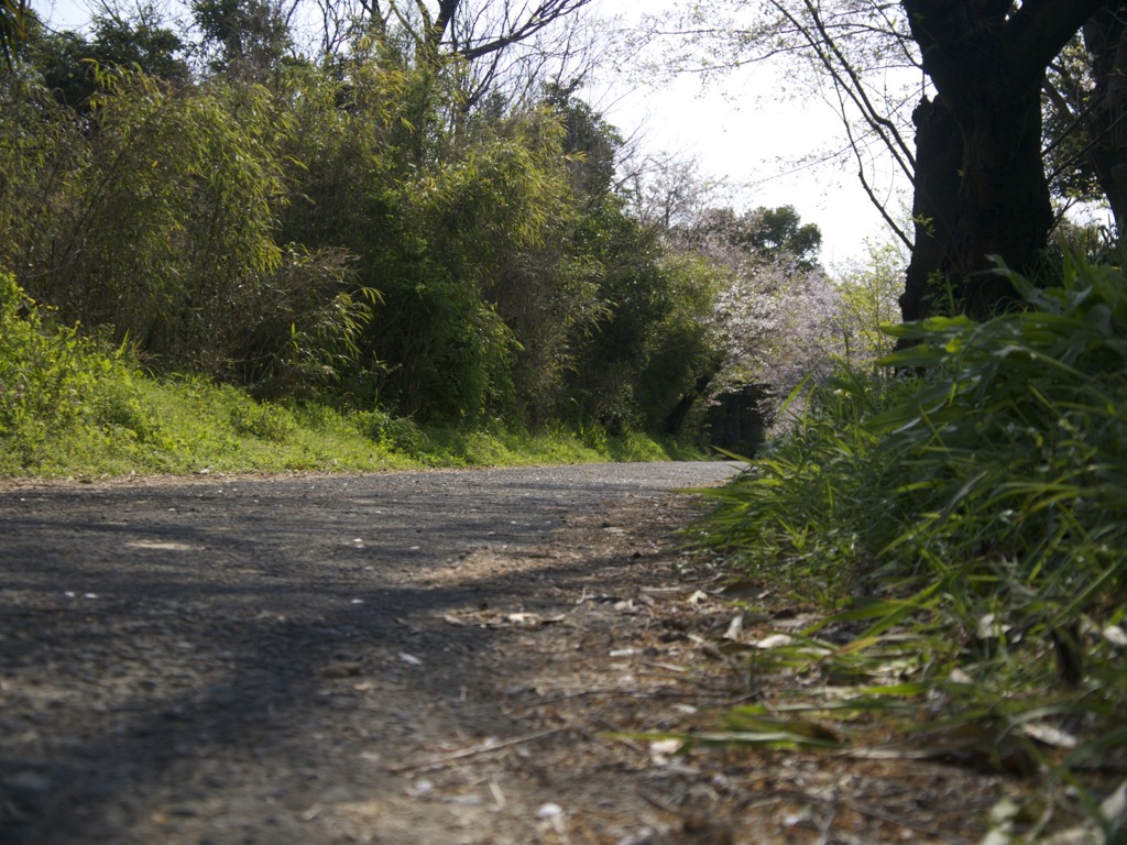 道