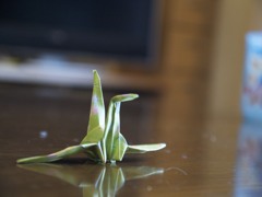 P1010891