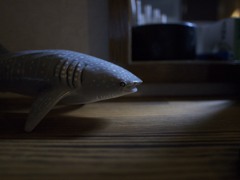 置物
