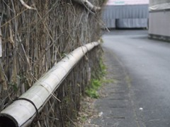 竹の行く末