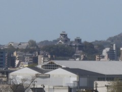 熊本城