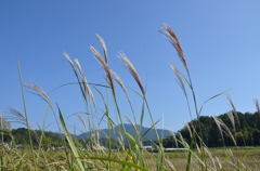 郷愁