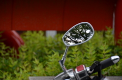 mirror
