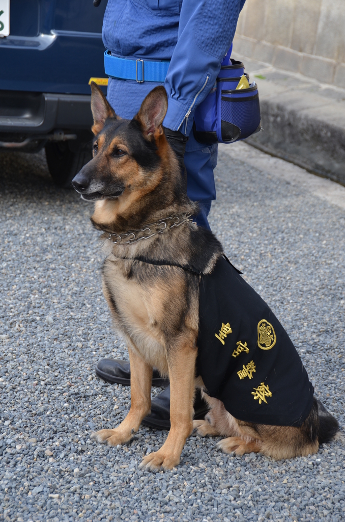 皇宮警察