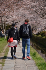 哲学の道