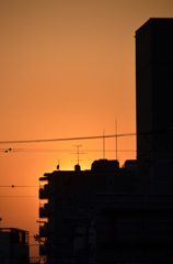 夕焼け