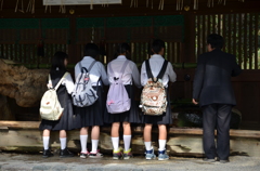 並んで