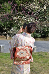 梅を撮る