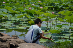水辺で