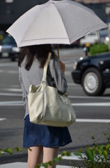 日傘の君