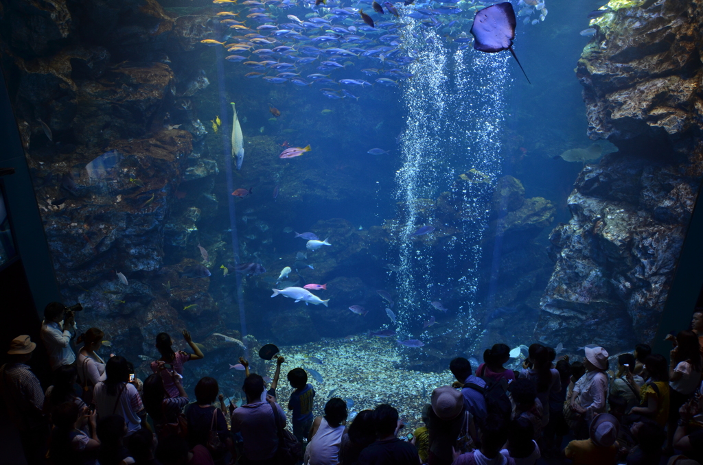 水族館
