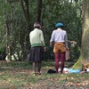 奏でる
