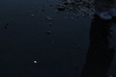水溜りに映った三日月