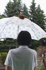 雨束子