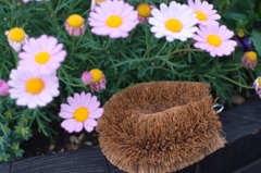 花園