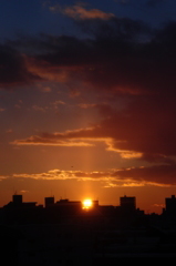 Rise