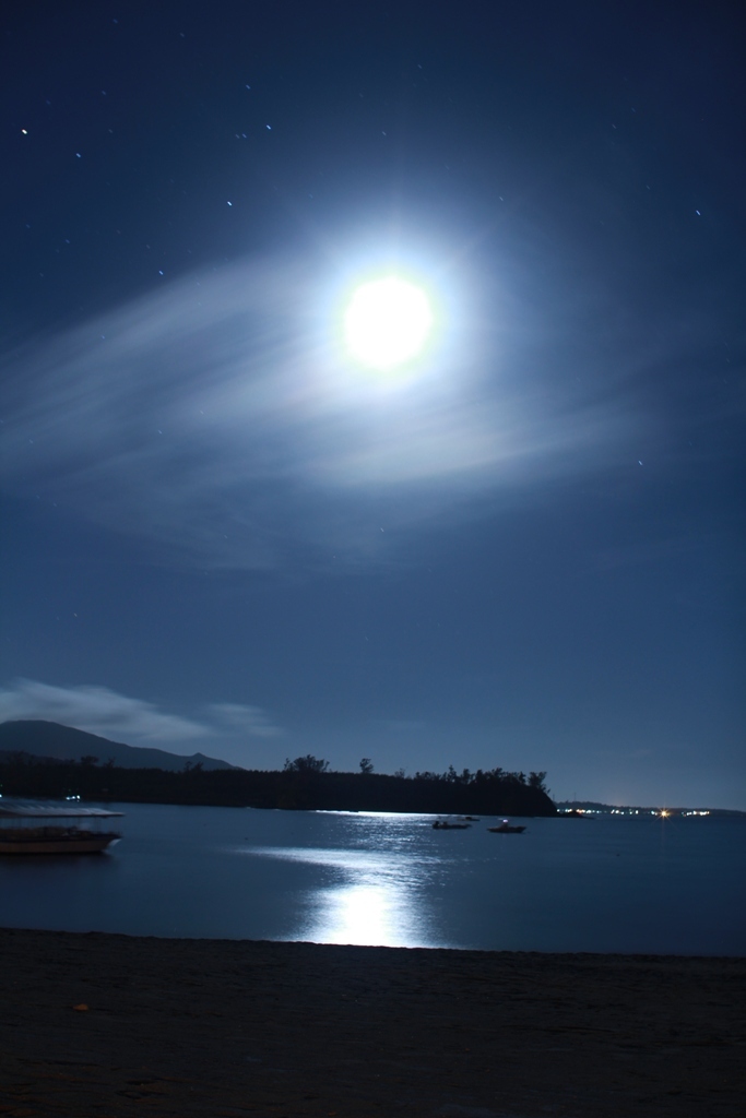 moonlight