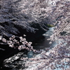 春の朝陽