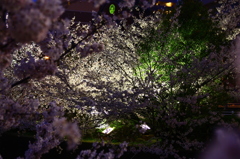共存