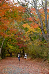 小木津山自然公園5