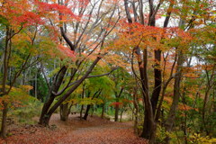 小木津山自然公園散策