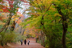 小木津山自然公園2