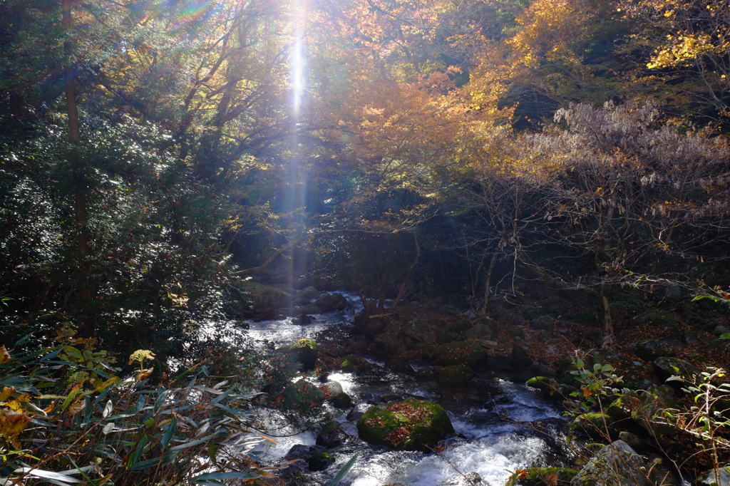 花貫渓谷の紅葉風景(3)
