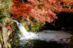 花貫渓谷の紅葉風景(1)