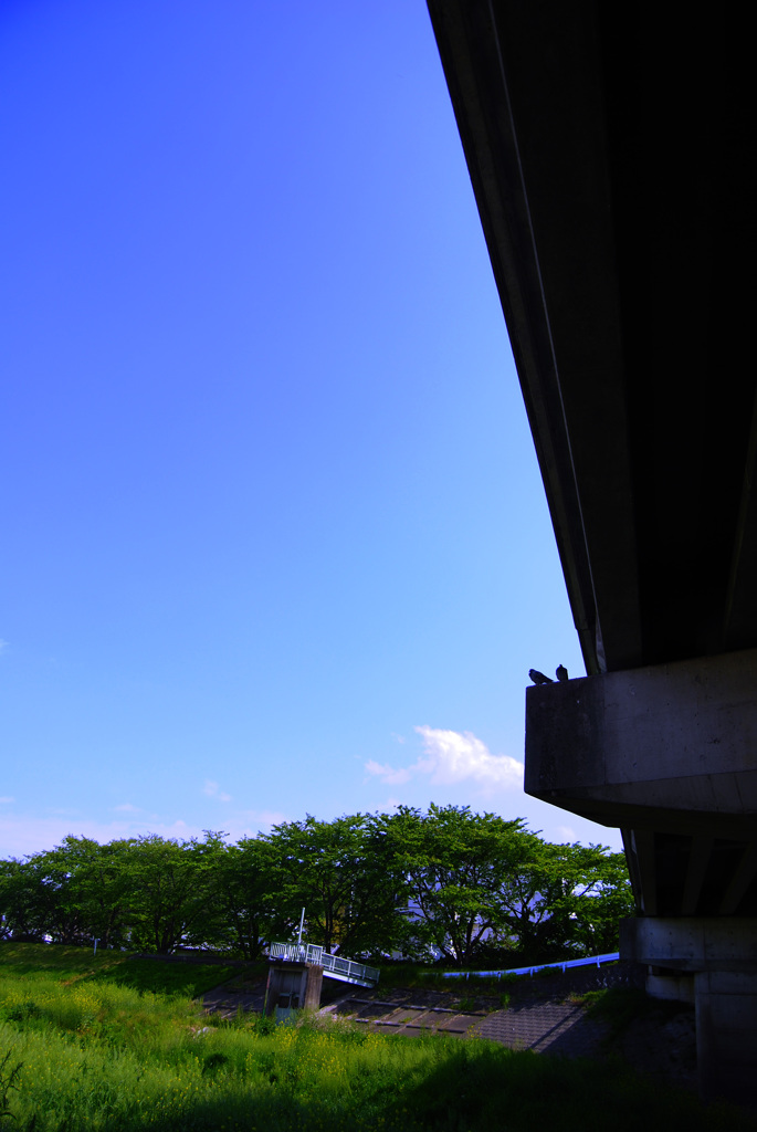 水門のある風景２